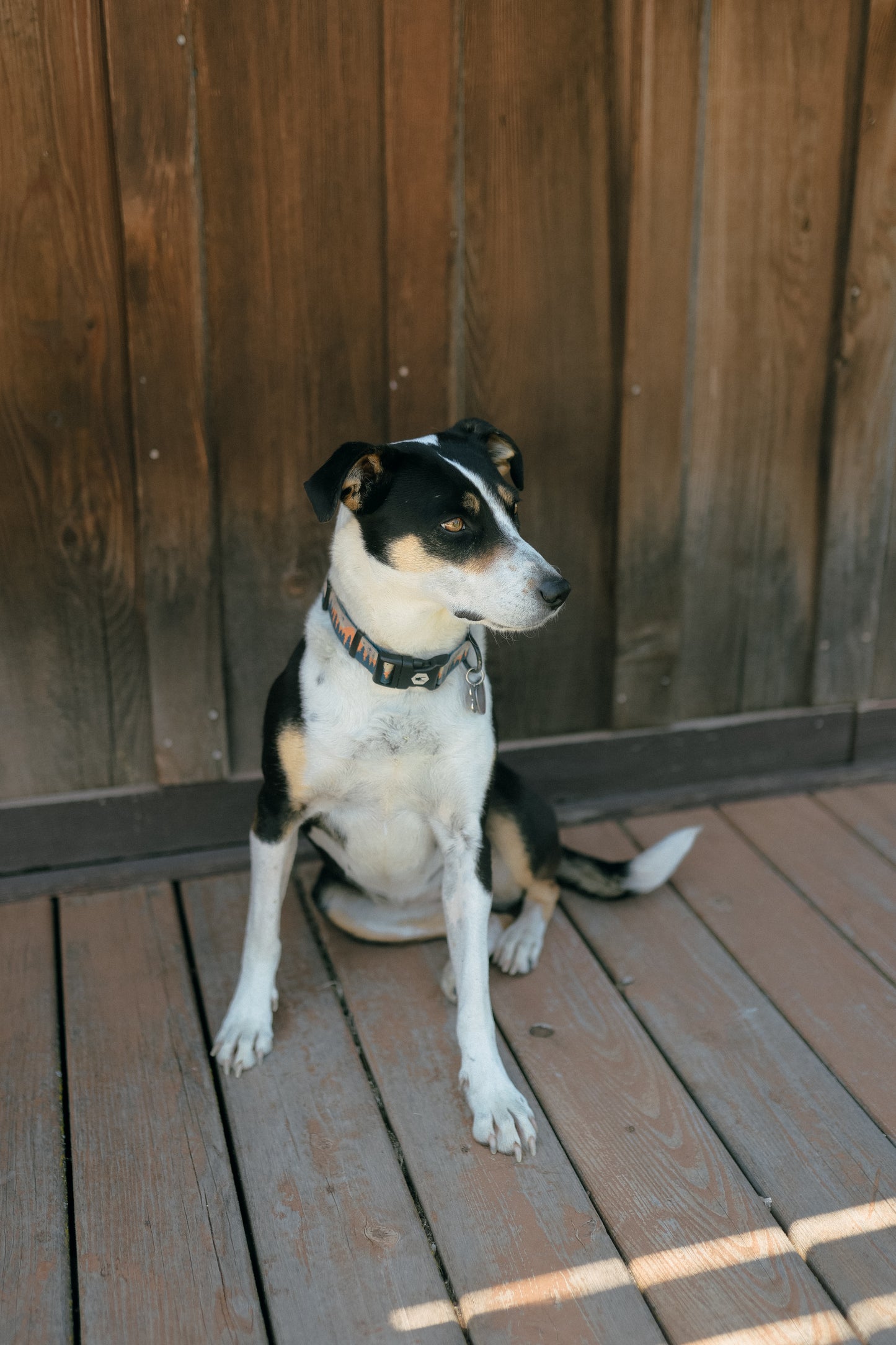 #2 Raffle $2,500 Shop Credit Raffle - Help Save Marley