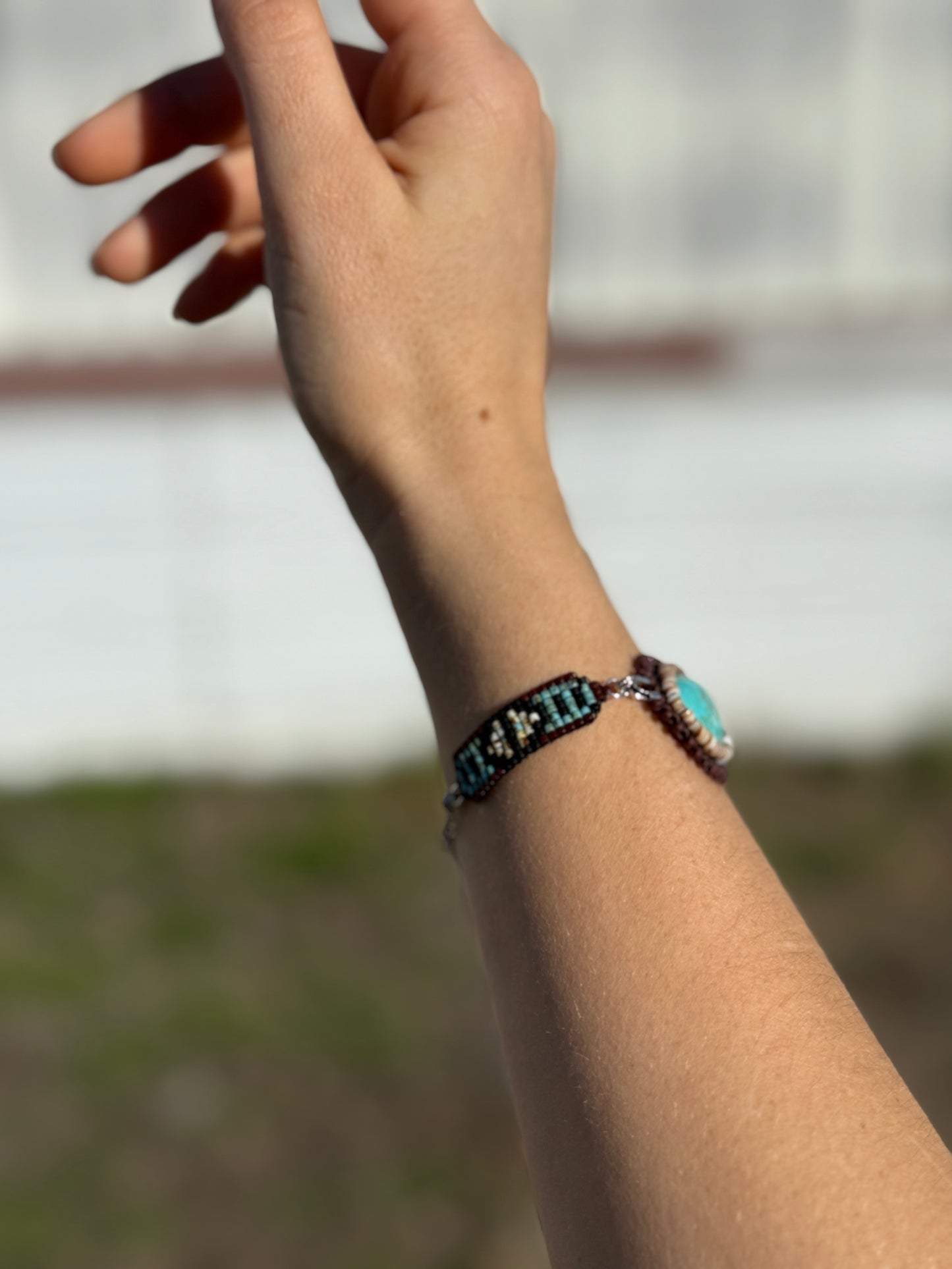 Kingman Turquoise set cab w/ Voluta Shell Bracelet