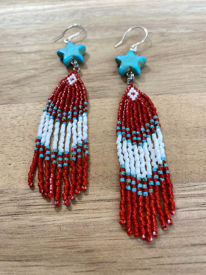 Star Painted Desert Fringe Earrings