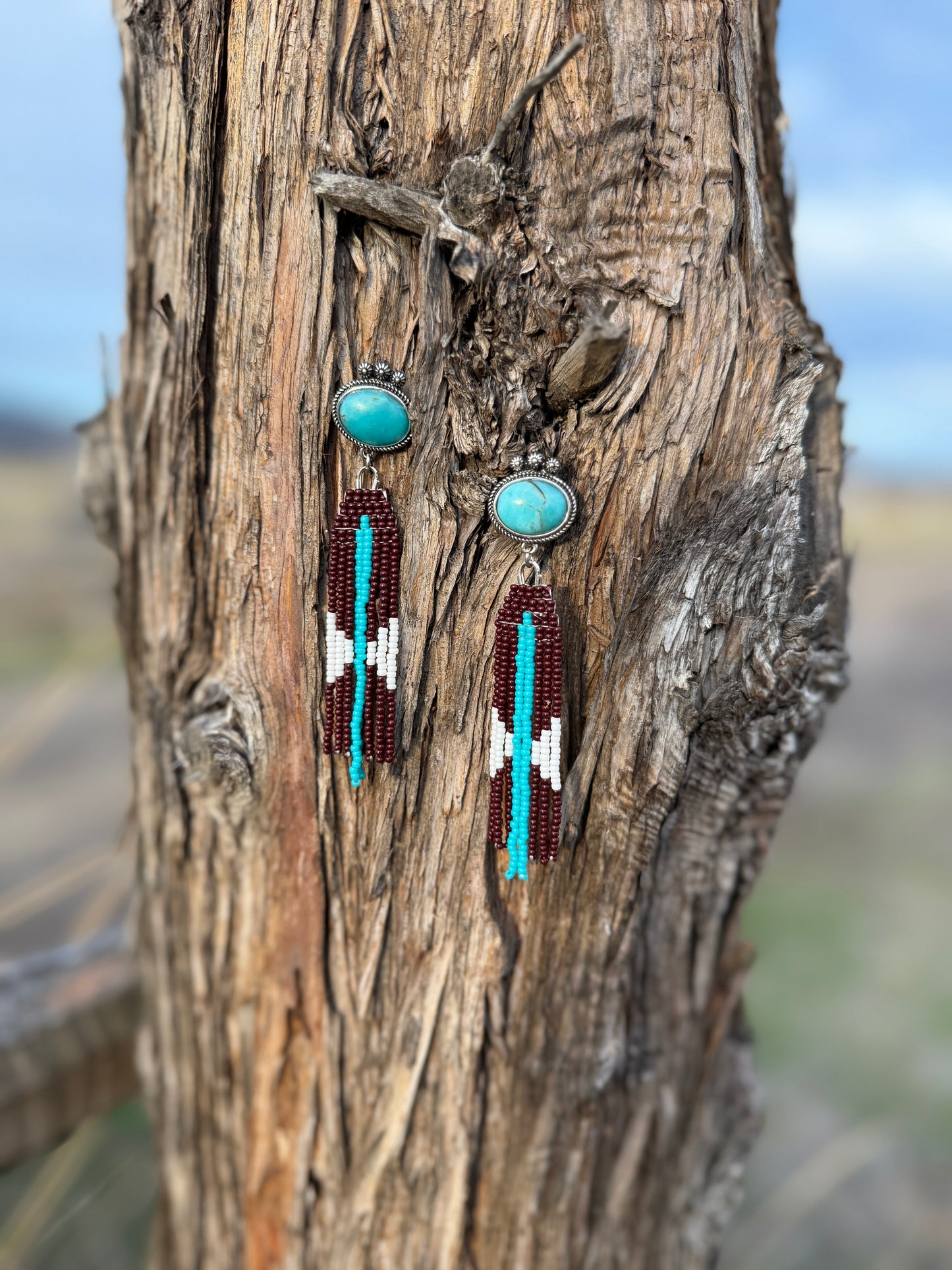 Long Rich Colored Western Fringe Earrings