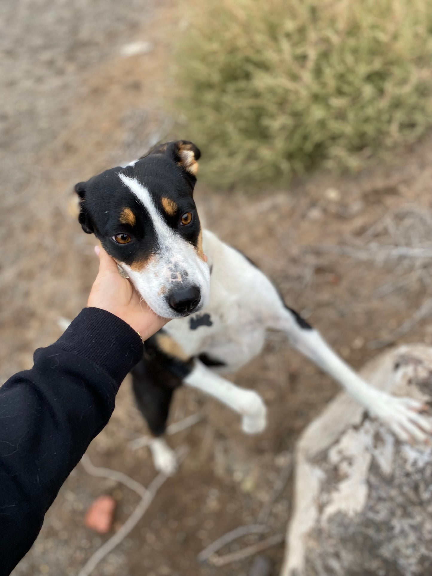 #2 Raffle $2,500 Shop Credit Raffle - Help Save Marley