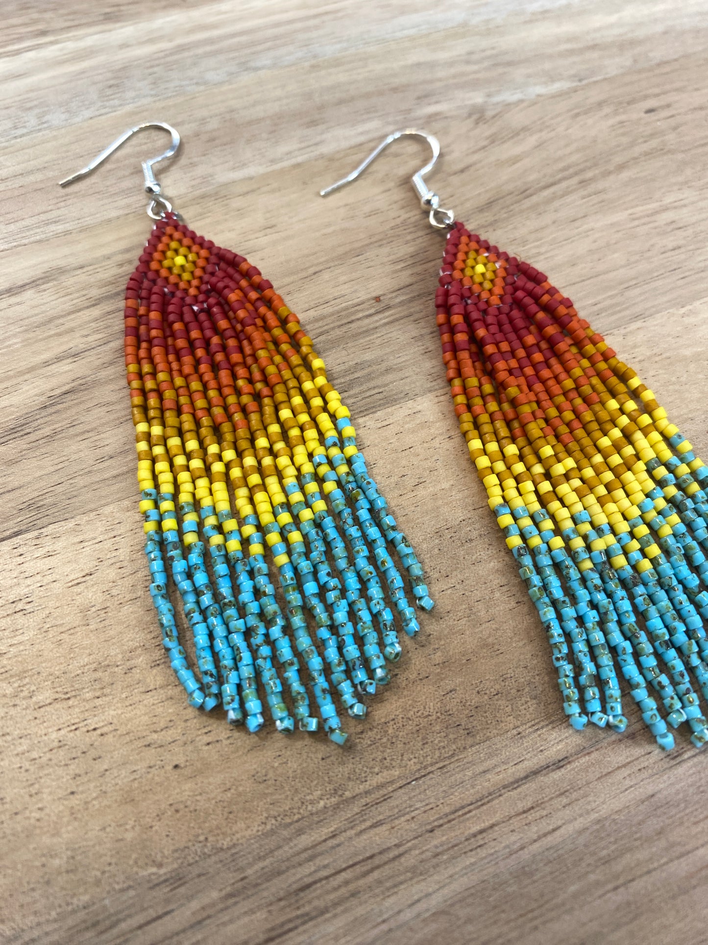 Painted Desert Fringe Earrings