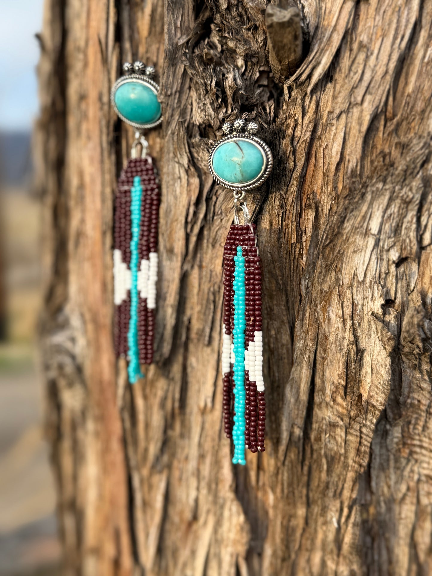 Long Rich Colored Western Fringe Earrings